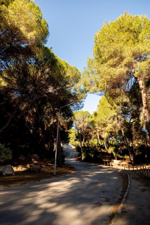 Open View Pinetree Penthouse Appartement Dehesa De Dehesa De Campoamor Buitenkant foto
